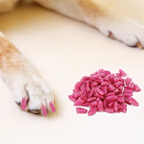 Hundenagelabdeckung Hundnagel Hund Klaue Haustier Nagel Pflegeabdeckung Hundepfotenabdeckung Hund Pflege Ary, 100pcs Haustier Hund Weiche Pvc Nagelabdeckung Pfoten Klaue Wegen Ary von Tbest