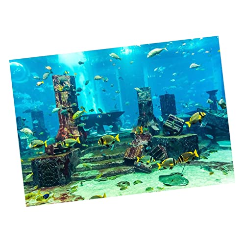 Tbest Das PVC -Korallenaquarium -Poster Reflektierte Das Seginalplakat Nicht (61 * 30CM) von Tbest