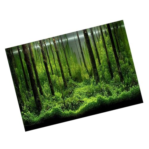 Tbest PVC Fischdekoration Poster PVC Dauer U -Boot -Hintergrund U Boot Fonds Leicht zu Reinigen für die Aquariendekoration (61 * 41CM) von Tbest