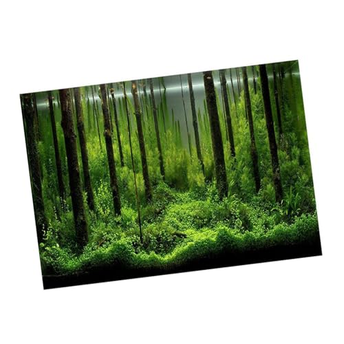 Tbest PVC Fischdekoration Poster PVC Dauer U -Boot -Hintergrund U Boot Fonds Leicht zu Reinigen für die Aquariendekoration (91 * 50CM) von Tbest