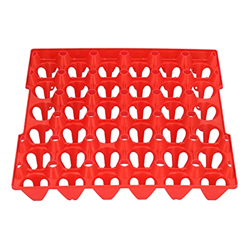 Tbest Plastikei -Wohnungen ROK 30 Zelleikisten Halter Tablett Transport Heimatmaterialien (Rot) von Tbest