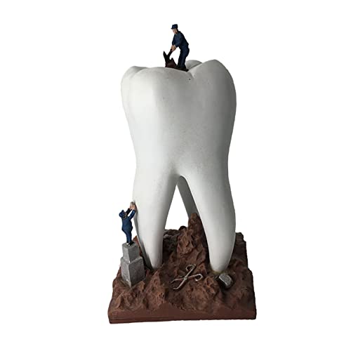 Tbkoly Einfache Zahnmodell-Figur, 9 x 18 cm, dekorative Handwerksskulptur von Momolaa
