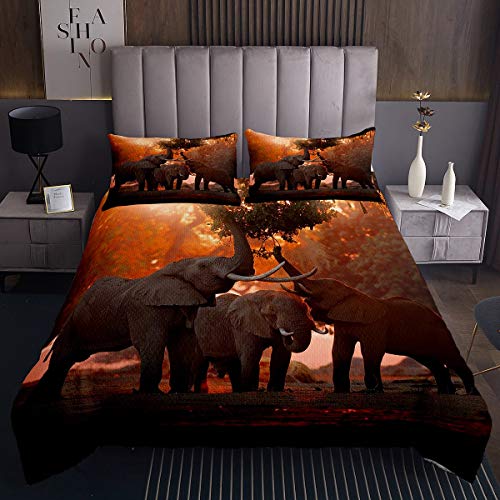 Elefant Steppdecke 3D Wildtiere Muster Bettüberwurf 220x240cm für Kinder Adult Tierwelt Design Tagesdecke Naturthema Mit 2 Kissenbezug von Tbrand