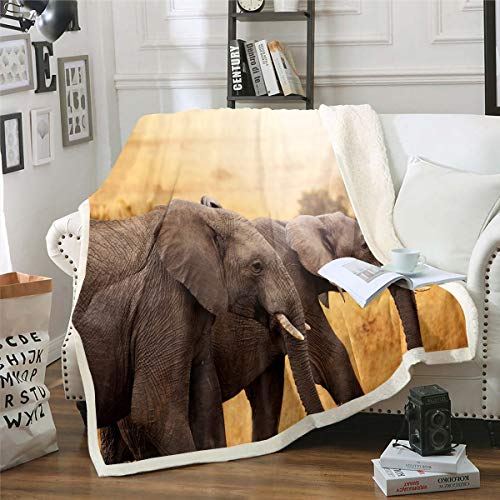 Elefant Wohndecke 3D Wildtier Muster Kuscheldecke für Jugendliche Afrikanische Savanne Elefanten Dekor Decke 150x200cm Natur Tierwelt Flanell Fleecedecke von Tbrand