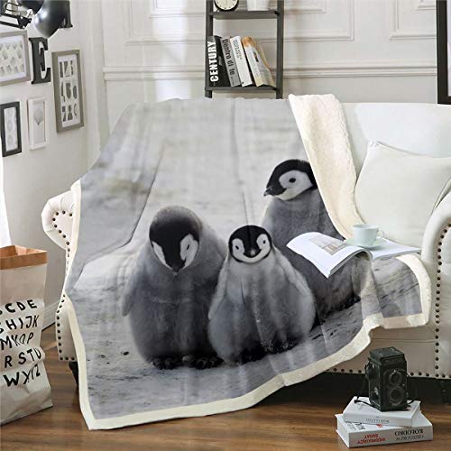 Tbrand Pinguin Wohndecke Karikatur Pinguin Decke 150x200cm für Kinder Lustiges süßes Polartier Kuscheldecke Schneeiger Winter Flanell Fleecedecke für Couch von Tbrand