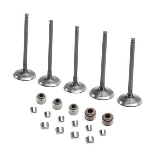 Kit Einlass-/Auslassventile for Ymh YZ450F 03-09 WR450F 03-15 YFZ450/R 2004-2023 Kit Einlass-/Auslassventile for Ymh YZ450F 03-09 WR450F 03-15 YFZ450/R 2004-2023 von TcHUYAn