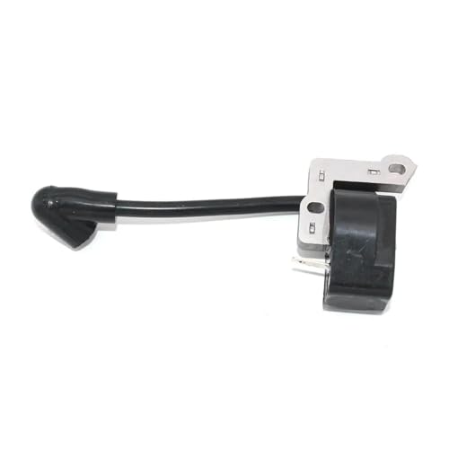 TcHUYAn Zündmodul for Ryob-Gebläse-Staubsauger RY09056 850108013 Ersatzteile TcHUYAn Zündmodul for Ryob-Gebläse-Staubsauger RY09056 850108013 Ersatzteile von TcHUYAn