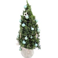 Tchibo - Echtes Weihnachtsbäumchen mit Dekoration - türkis Tchibo - Echtes Weihnachtsbäumchen mit Dekoration - türkis von Tchibo