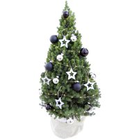 Tchibo - Echtes Weihnachtsbäumchen mit Dekoration - silber Tchibo - Echtes Weihnachtsbäumchen mit Dekoration - silber von Tchibo