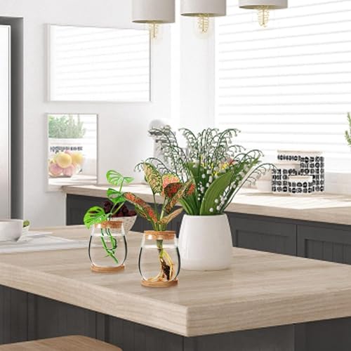 Tdkjfoutr 4 PCS Mini Transparent Terrarium Glas Bodenloser Grünpflanzen-Vase Wie Abgebildet Wohnzimmer Zuhause Tischdekoration von Tdkjfoutr