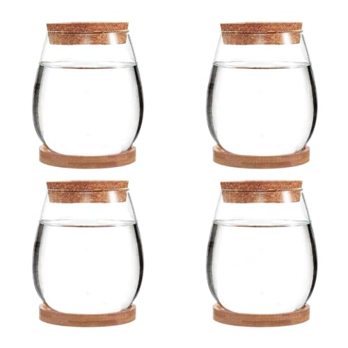 Tdkjfoutr 4 Stück Mini Transparentes Terrariumglas Wie Abgebildet Dekoration für Den Gartentisch im Wohnzimmer von Tdkjfoutr