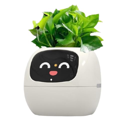 Tdkjfoutr Ivy Smart Planter, USB Wiederaufladbarer Kleiner Blumentopf für Den Innenbereich Als Dekoration für Den Innenbereich, Macht das Pflanzenaufziehen Einfach und Macht Spaß, Tdkjfoutr Ivy Smart Planter, USB Wiederaufladbarer Kleiner Blumentopf für Den Innenbereich Als Dekoration für Den Innenbereich, Macht das Pflanzenaufziehen Einfach und Macht Spaß, von Tdkjfoutr