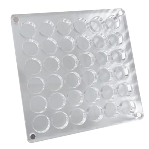Tdkjfoutr Magnetische Muschel-Ausstellungsbox Aus Acryl, Aufbewahrungsbox für Diamant-Edelsteinperlen, Organizer-Box, Gitter, Durchsichtige Acryl-Muschel,B von Tdkjfoutr