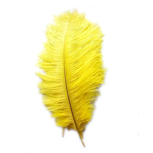 Tdkjfoutr Neue Art Reale natuerliche 10-12 Straussenfedern toll Dekorationen - Gold von Tdkjfoutr