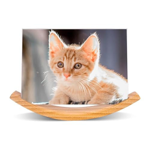 Tdkjfoutr Rechteckige Bilderrahmen im Format 5 X 7, Bilderrahmen im Querformat, Fotorahmen Aus mit Massivholz und Rahmenloser Acrylabdeckung, Einfache Installation Tdkjfoutr Rechteckige Bilderrahmen im Format 5 X 7, Bilderrahmen im Querformat, Fotorahmen Aus mit Massivholz und Rahmenloser Acrylabdeckung, Einfache Installation von Tdkjfoutr