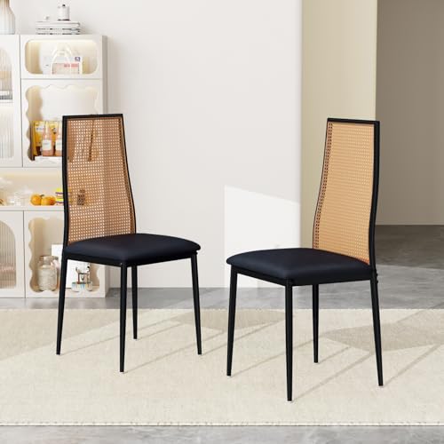 Teahutty Rattan Esszimmerstühle 2er Set, gepolsterte Armlehnenstühle mit Metallbeinen, Mitte des Jahrhunderts Esszimmer Küchenstuhl für Wohnzimmer, Schlafzimmer, Büro, Schwarz von Teahutty