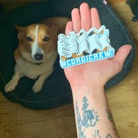Corgis Crew Sticker Corgis Crew Sticker von TeamCorgi