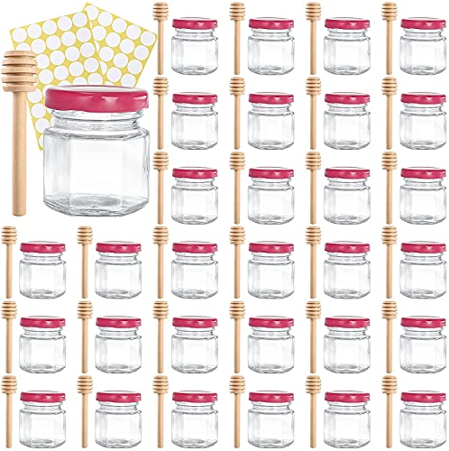 Tebery 30 Stück 45ML Mini Honig Gläser mit Plastisol ausgekleideten Deckeln, 1.5oz Marmeladengläser Einweckgläser für Gewürze, Honig, Konserven, Geschenke und Kunsthandwerk von Tebery