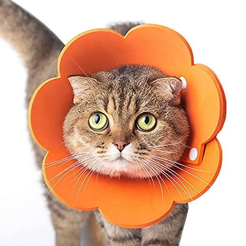 Tecatty Haustier Halskrausen Antilecker Halskragenkatze Verstellbar von 14-35 cm Leichtgewicht Schutzkragen Elizabethan Halsband Halskrausen für Katzen (M, Orange) von Tecatty