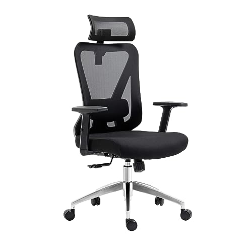 Techni Mobili Truly Ergonomischer Bürostuhl mit Lendenwirbelstütze & Verstellbarer Kopfstütze - Atmungsaktiver Netz-Bürostuhl mit 5 Präzisions-Einstellpunkten, Schwarz von Techni Mobili
