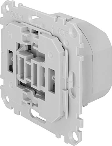 TechniSat Smart-Home Dimmer-Einsatz mit Flächenwippe (Unterputzdose, Z-Wave Plus, Samsung SmartThings, smartes dimmen von Licht per App, kompatibel mit Busch-Jaeger Schalterprogrammen) von TechniSat