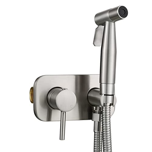 Tecmolog Bidet Set Unterputz WC-Brause Edelstahl Kaltes und Heißes Wasser Bidet Handbrause mit Schlauch und Halter Nickel, WS024F9 von Tecmolog