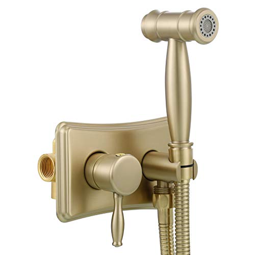 Tecmolog Unterputz Bidet Handbrause Gold 2 Strahlart Hygienedusche WC Bidet Einsatz für Toilette, Warmes und Kaltes Wasser, WS035JF von Tecmolog