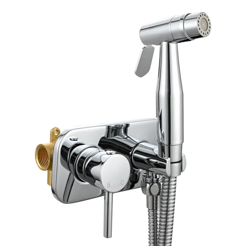 Tecmolog Wandmontage WC-Bidet Handbrause Set Edelstahl mit Dusche und Brauseschlauch 1.5m, Warmes und Kaltes Wasser, Chrom, WS024ADF4 von Tecmolog