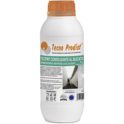 Tecno Prodist TECPINT KONSOLIDIERT AL SILICATE (1 Liter) Fixierer für Bauoberflächen, Grundierung für Kalk- oder Silikatfarben, verdichtet Stein, Ziegel, um dessen Zersetzung zu vermeiden von Tecno Prodist