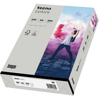 tecno Kopierpapier colors grau DIN A4 120 g/qm 250 Blatt von Tecno