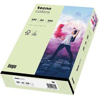 tecno Kopierpapier colors hellgrün DIN A4 120 g/qm 250 Blatt von Tecno