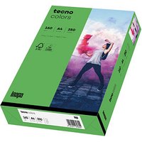 tecno Kopierpapier colors intensivgrün DIN A4 160 g/qm 250 Blatt von Tecno