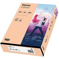 tecno Kopierpapier colors lachs DIN A4 120 g/qm 250 Blatt von Tecno