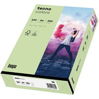 tecno Kopierpapier colors mittelgrün DIN A4 160 g/qm 250 Blatt von Tecno