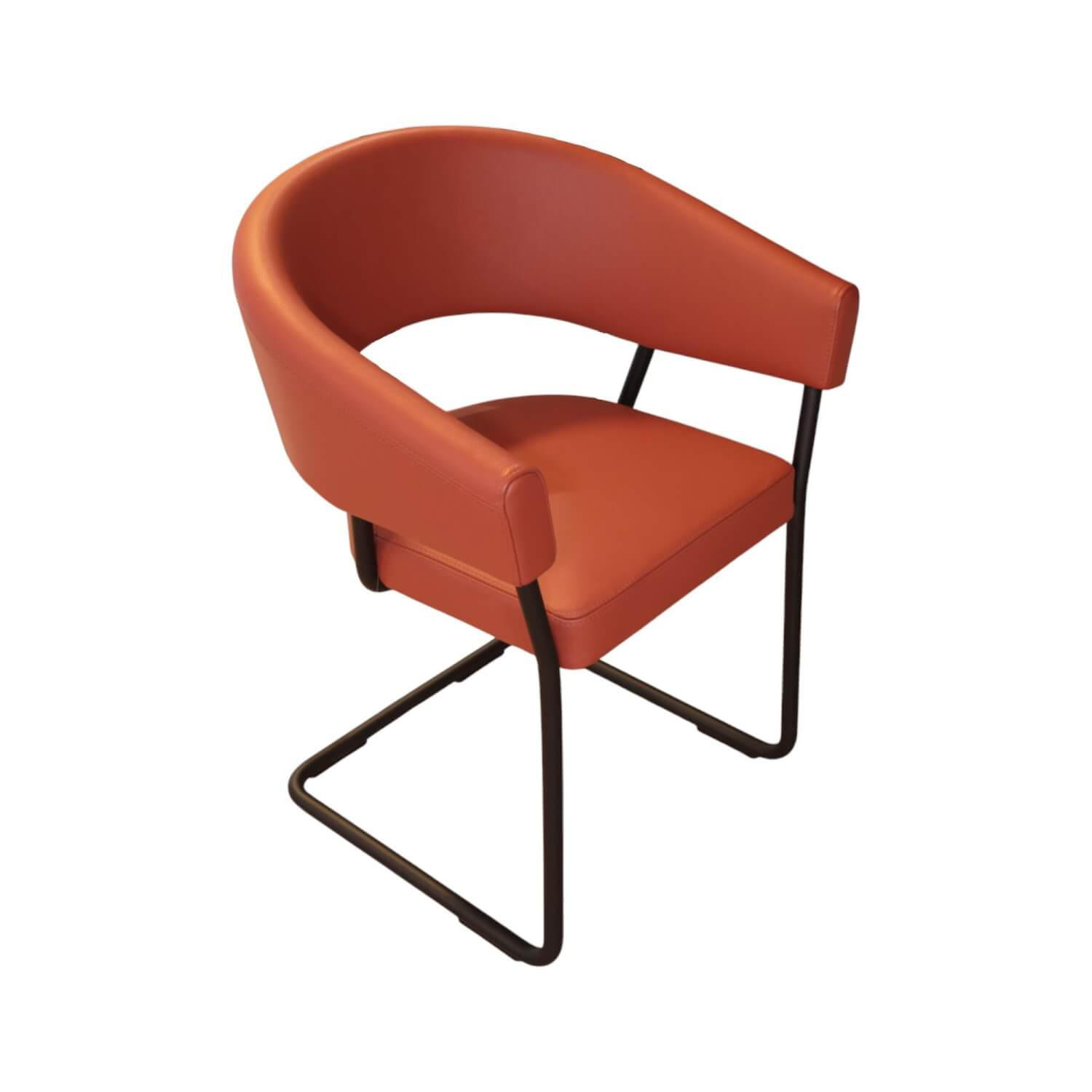 Armlehnstuhl D9 Leder II Terracotta Braun Orange Rot Gestell Stahlrohr Schwarz P... von Tecta