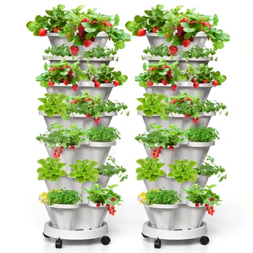 Tectsia Vertikaler Erdbeerpflanzer mit 7 Ebenen, stapelbarer Turm, für den Garten, Kräutergarten, Pflanzgefäß mit beweglichen Rollen und Untertasse, für drinnen und draußen, Weiß, 2 Stück Tectsia Vertikaler Erdbeerpflanzer mit 7 Ebenen, stapelbarer Turm, für den Garten, Kräutergarten, Pflanzgefäß mit beweglichen Rollen und Untertasse, für drinnen und draußen, Weiß, 2 Stück von Tectsia