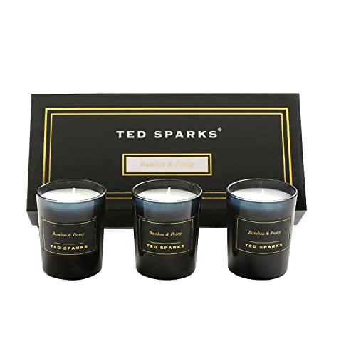 Ted Sparks Mini Candle Geschenkset Bamboo & Peony Duftkerzen im Glas, 3er Set, TED-GB-C03 von Ted Sparks