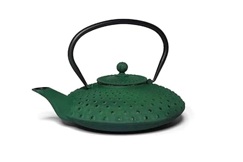 MAOCI Kambin Gusseisen Teekanne 0,8l Grün/Innen Emailliert/mit Teesieb von Teeladen Herzberg