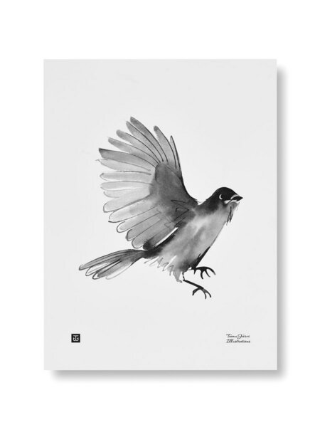 Teemu Järvi Illustrations Teemu Järvi - Kunstdruck - Poster - 40x30cm - Tierbilder von Teemu Järvi Illustrations