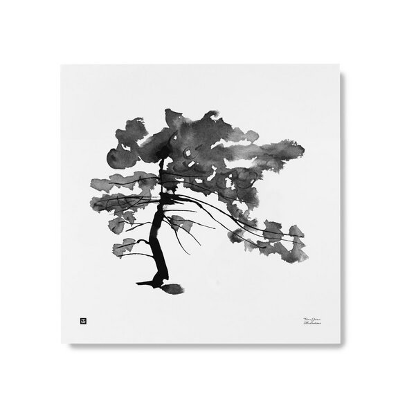 Teemu Järvi Illustrations Teemu Järvi - Kunstdruck - Poster - 50x50cm - Pine tree von Teemu Järvi Illustrations