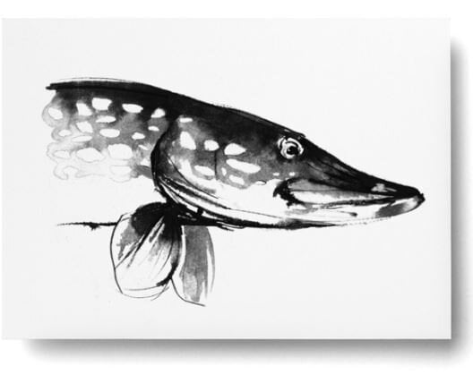 Teemu Järvi Illustrations Teemu Järvi - Postkarte - DIN A6 - Tiermotive - Kunstdruck von Teemu Järvi Illustrations