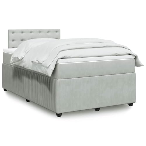 Boxspringbett mit Matratze, Hellgrau Samt, 120x190 cm, Komfortable Taschenfederkern-Matratze & Topper, Stabiles Bettgestell mit Kopfteil, Schlafzimmer Möbel Set von Teenpull