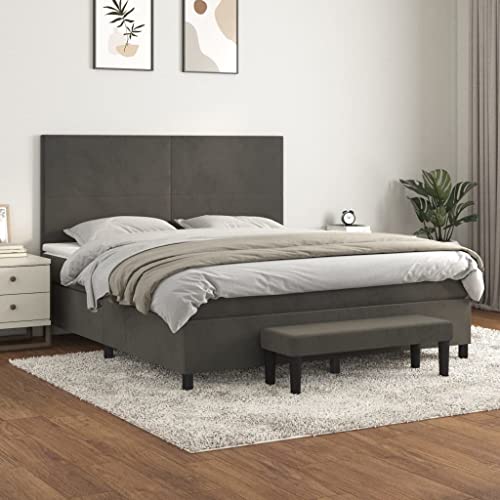 Teenpull Boxspringbett Samt Dunkelgrau 180x200 cm, Luxuriöses Polsterbett mit Taschenfederkernmatratze, Höhenverstellbarem Kopfteil, Multifunktionaler Bank von Teenpull