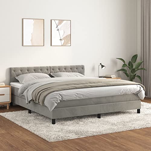 Teenpull Boxspringbett mit Matratze, Hellgrau Samtstoff, 160x200 cm, höhenverstellbares Kopfteil, Taschenfederkernmatratze für optimalen Schlafkomfort, komplett mit Matratzenauflage von Teenpull