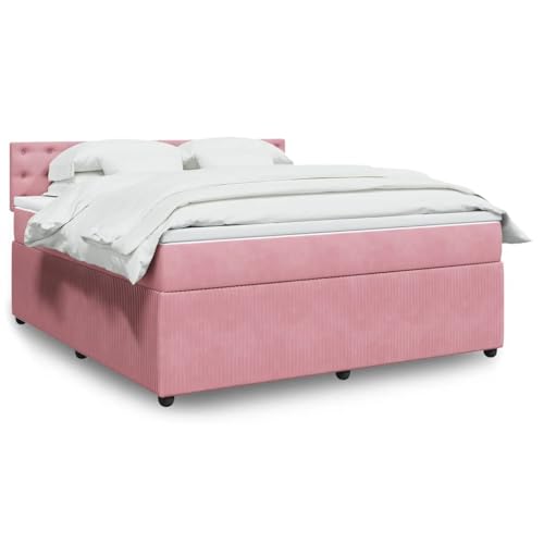 Teenpull Boxspringbett mit Matratze, Rosa Samt 180x200 cm, Taschenfederkern für optimale Körperunterstützung, inkl. Matratzenauflage, Schlafsystem Teenpull Boxspringbett mit Matratze, Rosa Samt 180x200 cm, Taschenfederkern für optimale Körperunterstützung, inkl. Matratzenauflage, Schlafsystem von Teenpull
