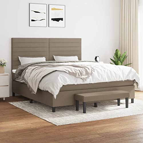 Teenpull Boxspringbett mit Matratze, Taupe 160x200 cm, Stoffbezug, Komfort-Kopfteil, Federkern, inkl. Matratzenauflage und Bank, Schlafzimmer Möbel Set von Teenpull