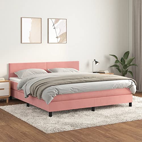 Teenpull Luxuriöses Boxspringbett 160x200 cm, rosa Samt-Bezug, mit Matratze und höhenverstellbarem Kopfteil, Stabiler Bettrahmen für erholsamen Schlaf, Möbelstück Teenpull Luxuriöses Boxspringbett 160x200 cm, rosa Samt-Bezug, mit Matratze und höhenverstellbarem Kopfteil, Stabiler Bettrahmen für erholsamen Schlaf, Möbelstück von Teenpull