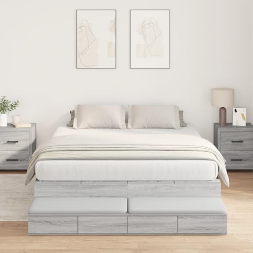 Teenpull Stauraum-Bettgestell Grau Sonoma, 150x200 cm, mit 8 integrierten Schubladen, Holzwerkstoff, Robustes Bett für Erwachsene, modernes Schlafzimmer von Teenpull