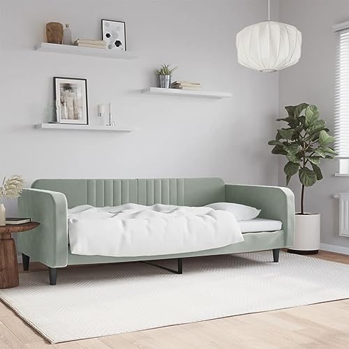 Teenpull Tagesbett Hellgrau 100x200 cm aus weichem Samt, vielseitiges Schlafsofa mit robustem Metallrahmen für Wohn- und Schlafzimmer, modernes Design von Teenpull