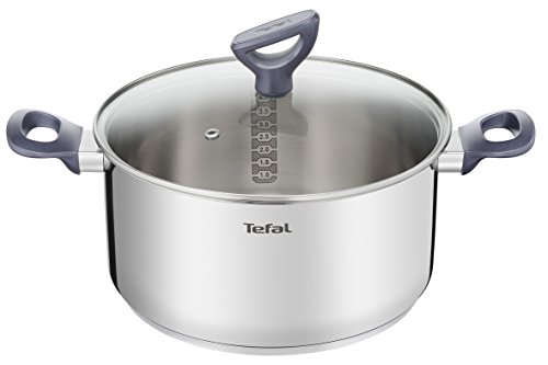 TEFAL DAILY COOK Kochtopf G71246 | 24 cm | GLASDECKEL MIT DAMPFAUSLASS | SPÜLMASCHINENFEST | für alle Herdarten geeignet einschließlich Induktion von Tefal